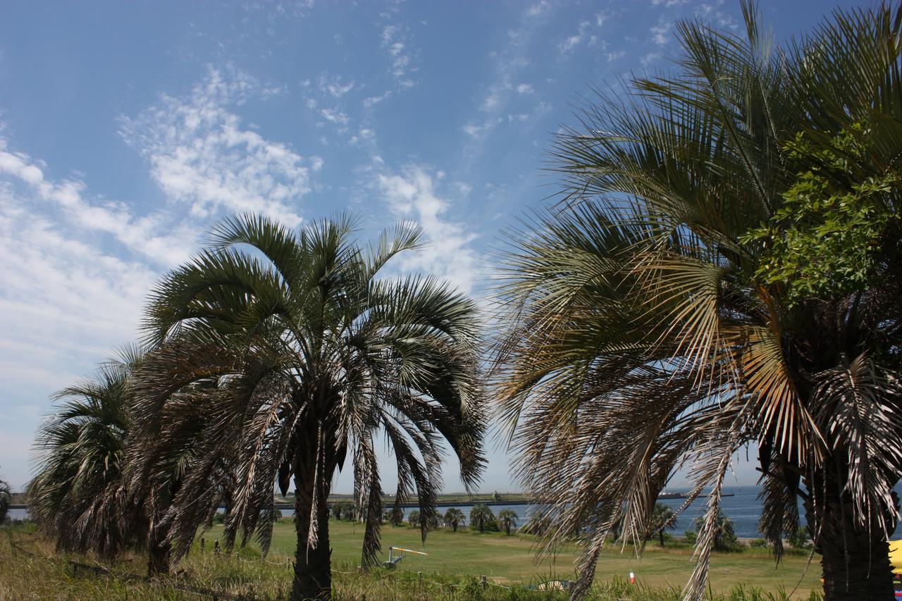 Palm Garden Maishima By Wbf Осака Экстерьер фото